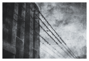 Para imprimir Fine Art Delula (2)